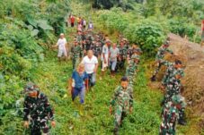 TNI